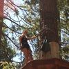 sofiamazo